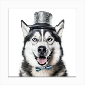 Husky Dog In Top Hat Canvas Print