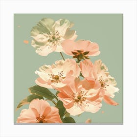 Peach Blossoms Canvas Print
