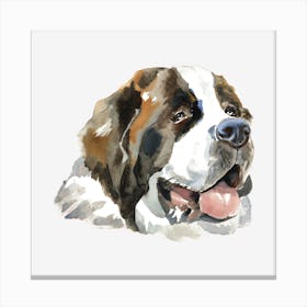 The St. Bernhardshund Canvas Print