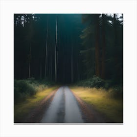 Road In The Woods 2 Canvas Print