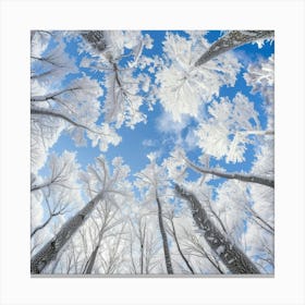 Frosty Forest 1 Canvas Print