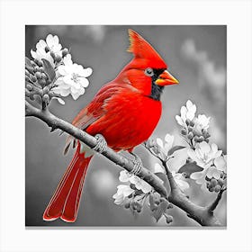 Cardinal Perched On A Branch Canvas Print