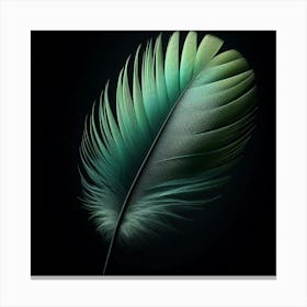Feather On A Black Background Canvas Print