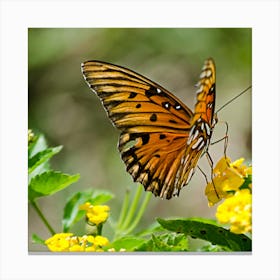 Beautiful butterflies  Canvas Print