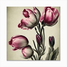 Eustoma Floral Botanical Vintage Poster Flower Art Print Pink Tulips Canvas Print