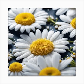 Daisy Flower Canvas Print