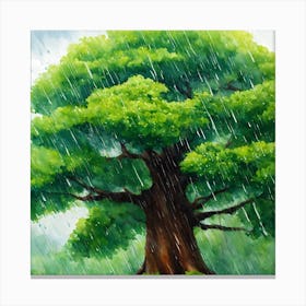 Tree In The Rain Canvas Print