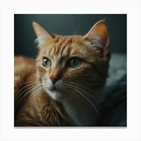 Default Cat Freddie Art 3 Canvas Print