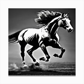 Horse Galloping 2 Canvas Print