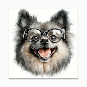 Pomeranian 8 Canvas Print