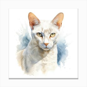 Burmilla Shorthair Cat Portrait 3 Canvas Print