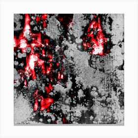 Red Fire Canvas Print