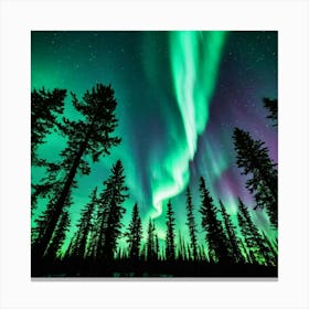 Northern Lights Canvas Print