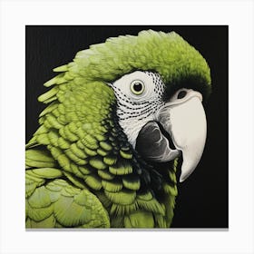 Ohara Koson Inspired Bird Painting Macaw 3 Square Canvas Print