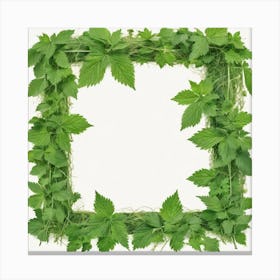 Frame Of Nettles 1 Canvas Print