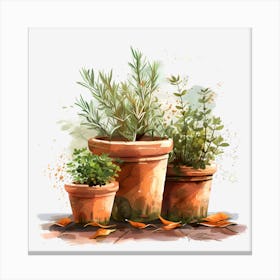 Three Pots Of Herbs Canvas Print