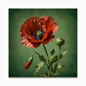 Poppies 6 Canvas Print