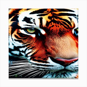 Tiger Canvas Print