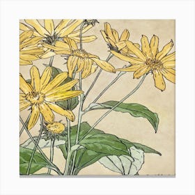 Yellow Daisies Canvas Print