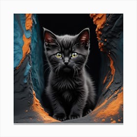 Black Kitten In A Cave Canvas Print
