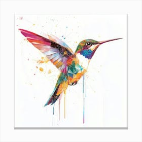 Hummingbird Canvas Print Canvas Print