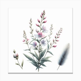 Flower of Willow herb Canvas Print