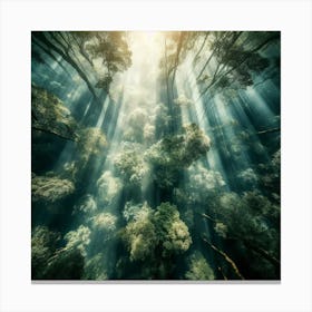 Underwater Forest 1 Canvas Print