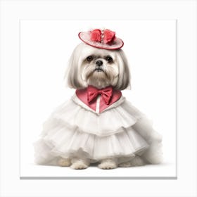 Shih Tzu Canvas Print