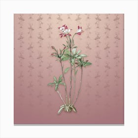 Vintage Lily of the Incas Botanical on Dusty Pink Pattern Canvas Print