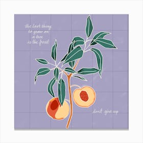 Peaches Don’T Quit Canvas Print