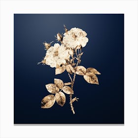 Gold Botanical White Damask Rose on Midnight Navy Canvas Print