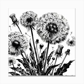 Dandelion flowers Canvas Print