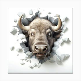 Bull Through A Wall 1 Canvas Print