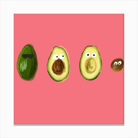 Lifecycle of an Avocado Canvas Print