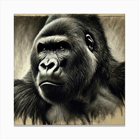 Gorilla Portrait Canvas Print