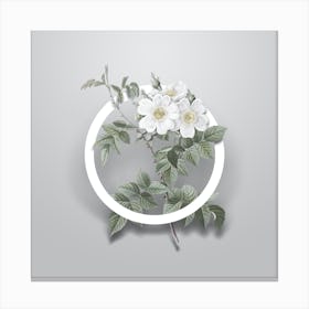 Vintage White Rosebush Minimalist Flower Geometric Circle on Soft Gray Canvas Print