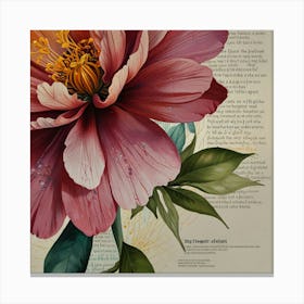 Peony 4 Canvas Print