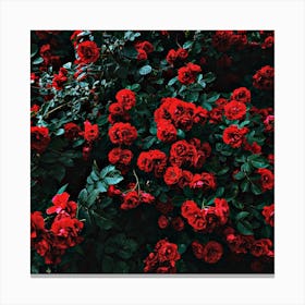 les fleurs rouges Canvas Print