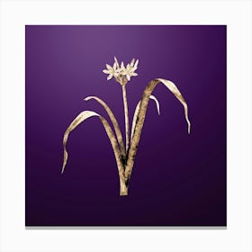 Gold Botanical Small Flowered Pancratium on Royal Purple n.4637 Canvas Print