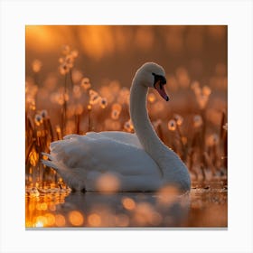 Sunrise Swan Canvas Print