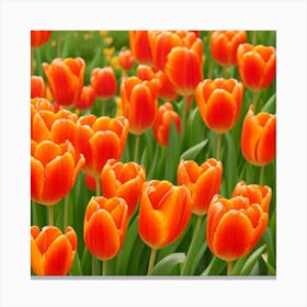 ORANGE TULIPS lucky charm Canvas Print