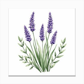 French Lavender Bouquet In Watercolor With Delicate Purple Flowers And Greenery 1 Canvas Print