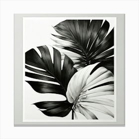 Black And White Tropical Leaves Print Canvas Print