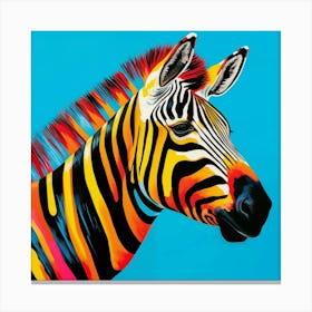 Zebra Canvas Print