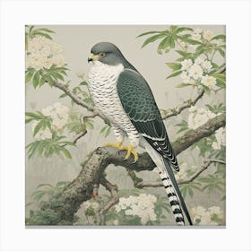 Ohara Koson Inspired Bird Painting Eurasian Sparrowhawk 1 Square Canvas Print