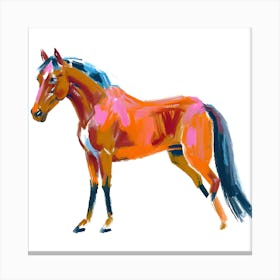 Arabian Horse 04 Canvas Print