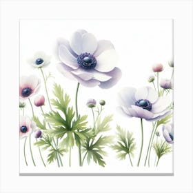 Anemones Canvas Print