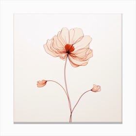 Poppy Stock Videos & Royalty-Free Footage Canvas Print