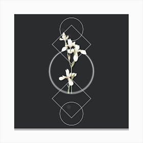 Vintage Siberian Iris Botanical with Geometric Line Motif and Dot Pattern n.0004 Canvas Print
