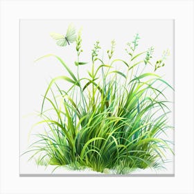 Watercolor-Spring-Grass-Clipart.14 Canvas Print